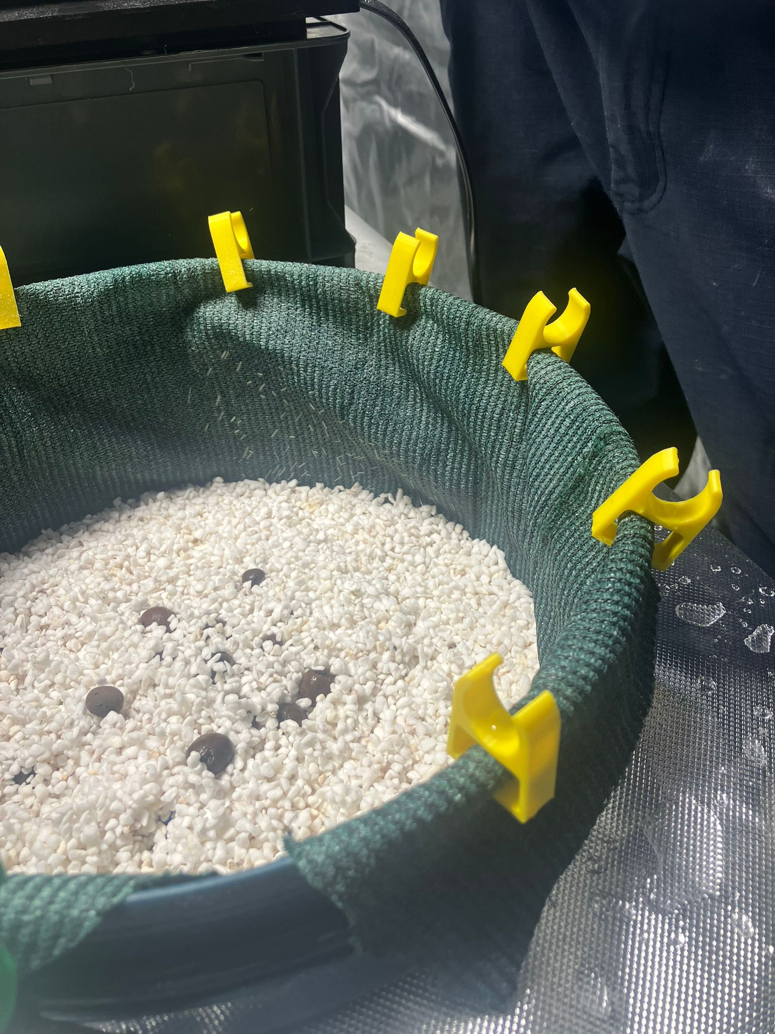 Pole Wire Clip x 10