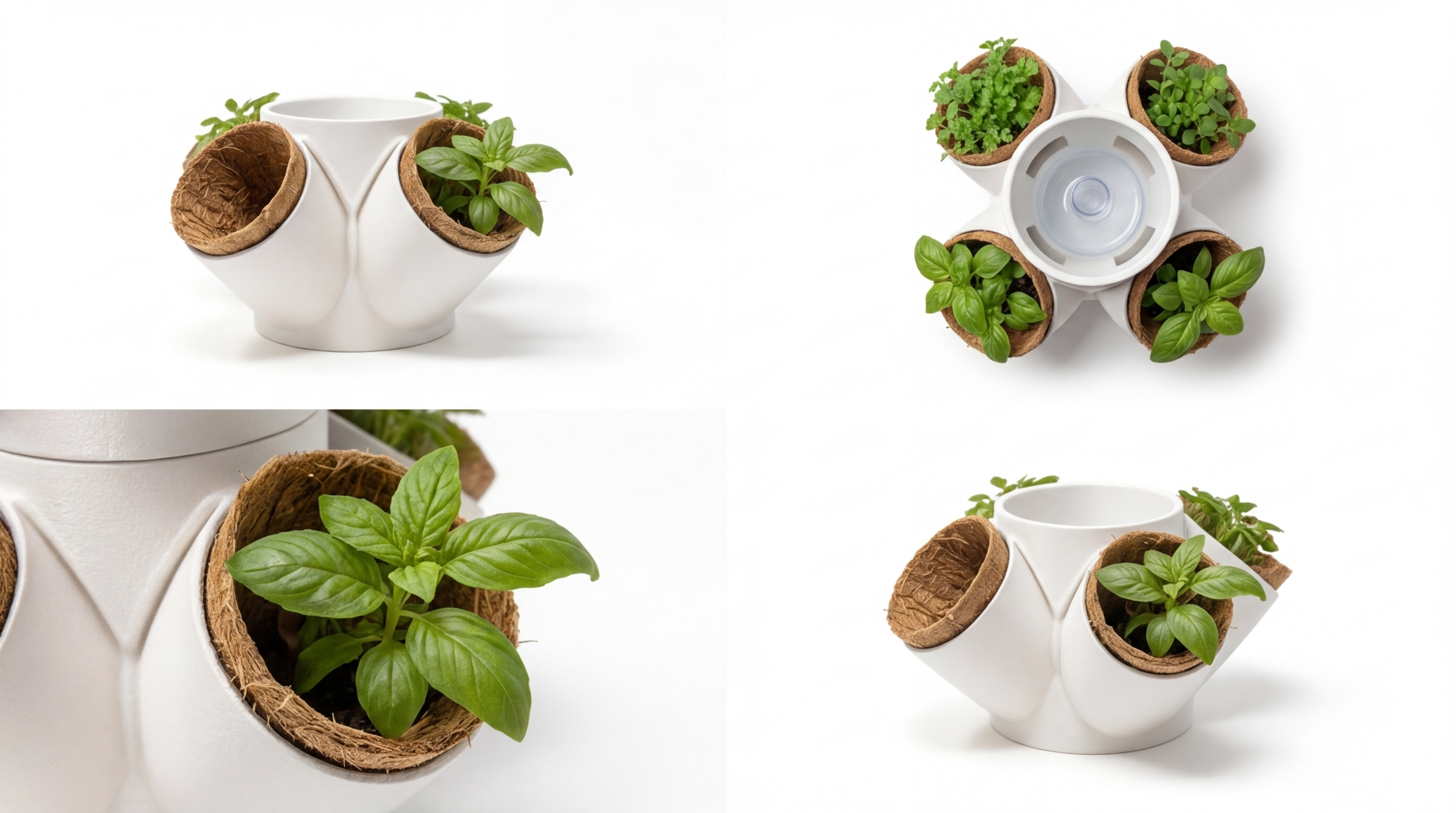 One module. Four plants. The start of something bigger.